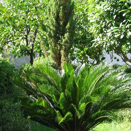 Bareta Apartment *