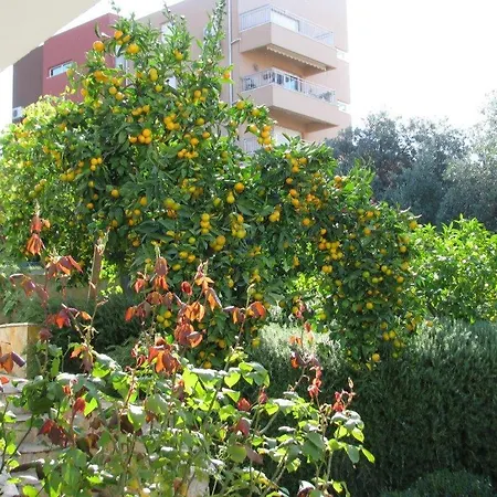 Bareta Trogir