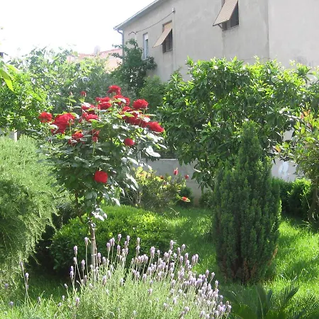 Bareta Trogir