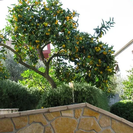 Bareta Apartment
